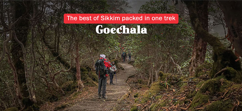 Trekking in Sikkim – Goechala Trek